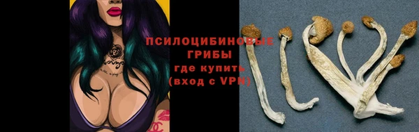 MDMA Premium VHQ Касимов