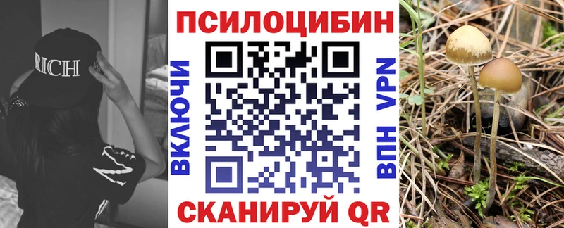 Галлюциногенные грибы прущие грибы  где купить наркотик  площадка Telegram  Керчь 