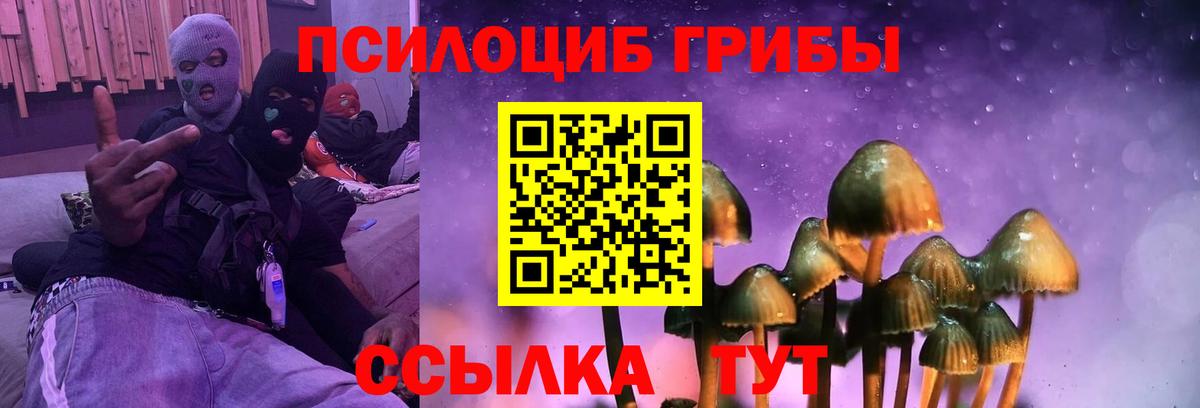 Галлюциногенные грибы Psilocybe  Вход с VPN  хочу   Галлюциногенные грибы мицелий  Керчь 