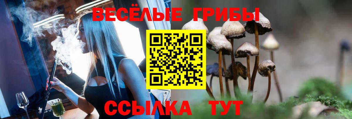 Псилоцибиновые грибы прущие грибы Керчь